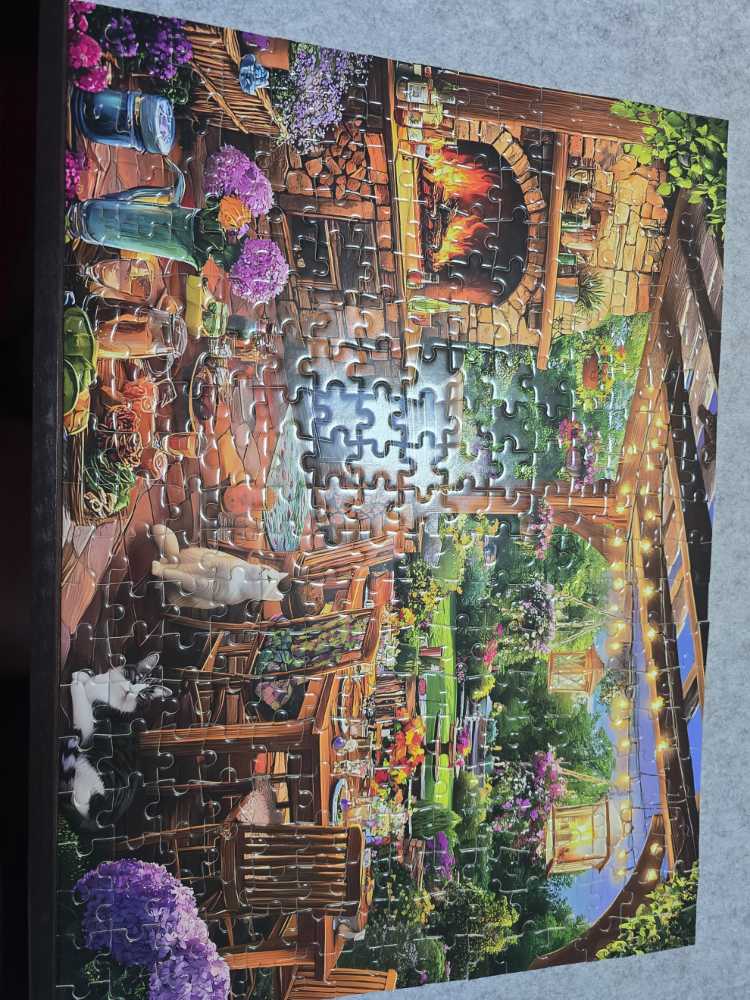 Mystery #29 Donation Debacle