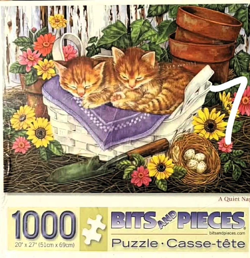 New York Puzzle Company Bill Mayer My Name Is Ike Mini 100 Piece Jigsaw Puzzle For Adults By Bill Mayer