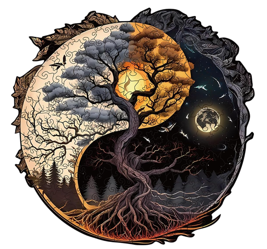 School Remix Special Edition Disney High School Musical Remix Edition Dvd Set Remix Dvd Set Remix Edition New Sealed Disc 2 2 Good # Shipping With Very Excellent Channel Only Zac Efron To