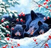 King Of Horror: Expanded Edition Dvd