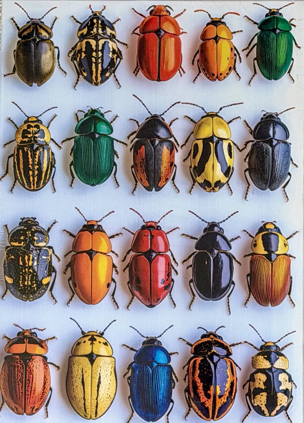 Coucher De Soleil D’Automne