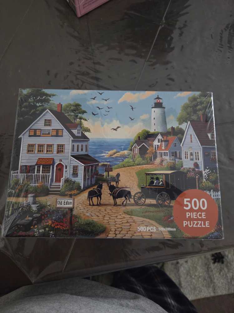 A Dog’s Chance Second Chance 2