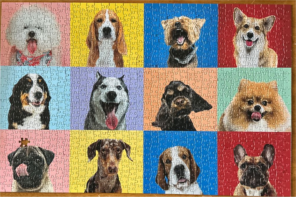 Dog Moods - Professor Puzzle puzzle collectible [Barcode 20000423950320016992] - Main Image 2