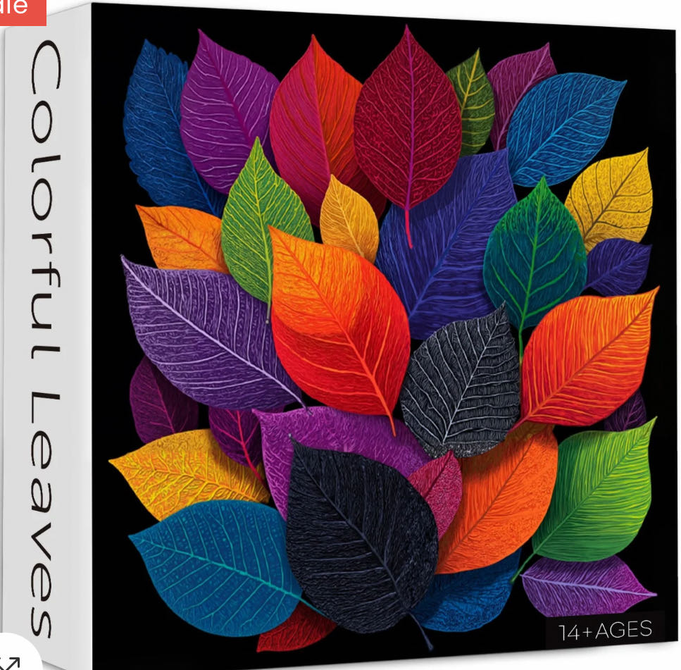 Summer Break 🆕🚪