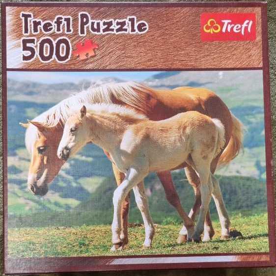 Piecerelax Puzzle Canvas Wall Art 366 Plastic Pieces For Adults Retro Wild Rose Unique Gift & Home Décor With Jigsaw Puzzle Artwork For Living Room Bedroom Hn1301