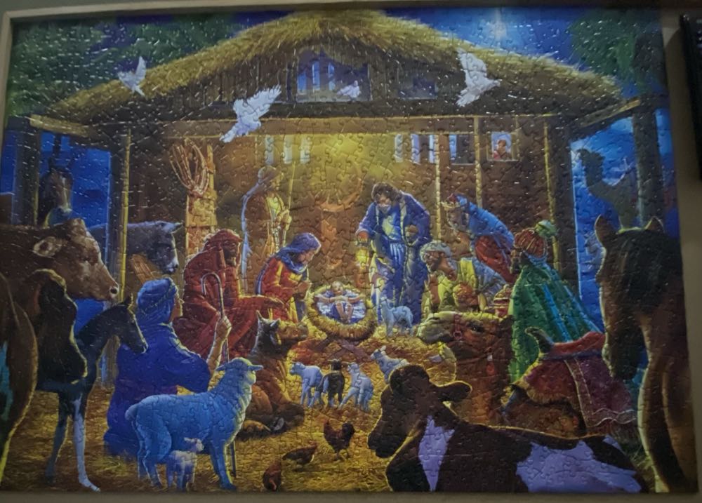 Beautiful Saguaro National Park