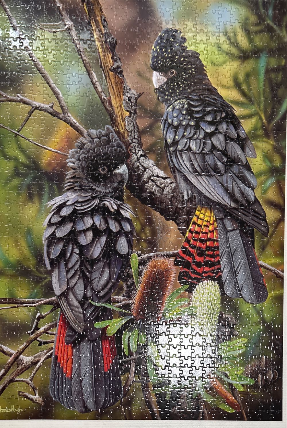 Detroit Lions 500 Piece Team Puzzle 010943305070