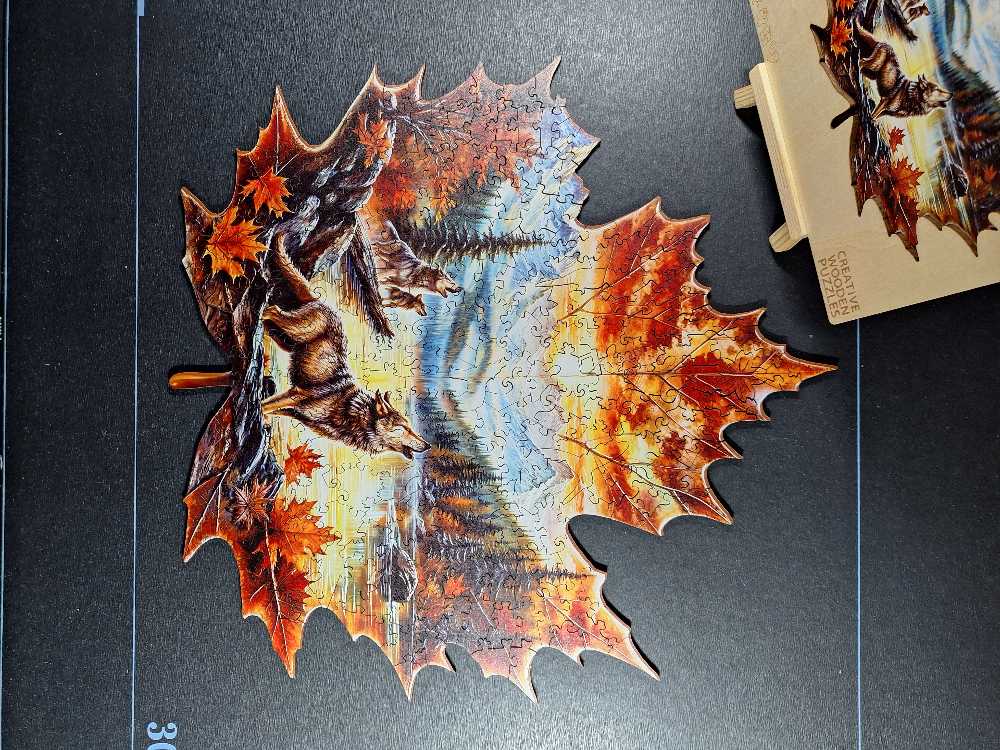 Cats And Dogs Collage