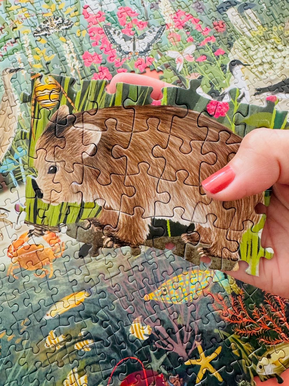 Coastal Calling - La La Land puzzle collectible [Barcode 9342076080144] - Main Image 4