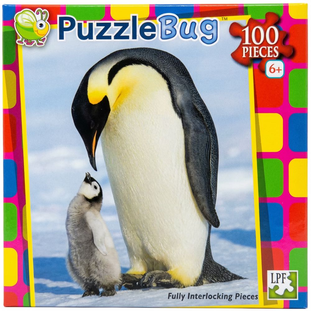 Jungle Selfies : Cheetah