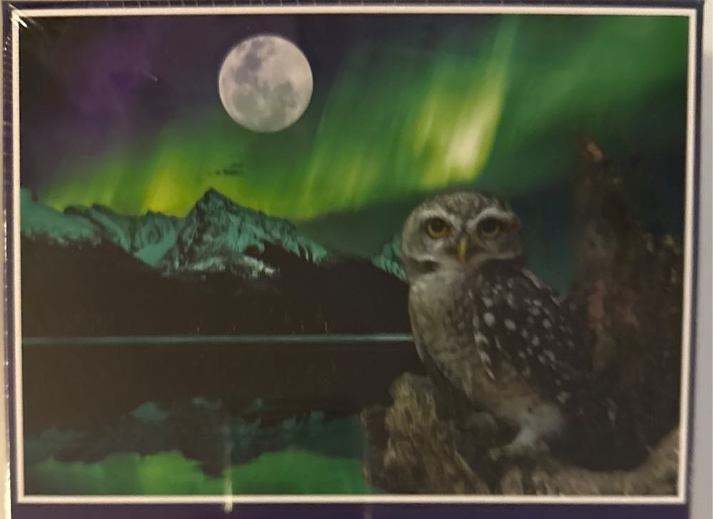 Northern Lights - Page Publications puzzle collectible - Main Image 2