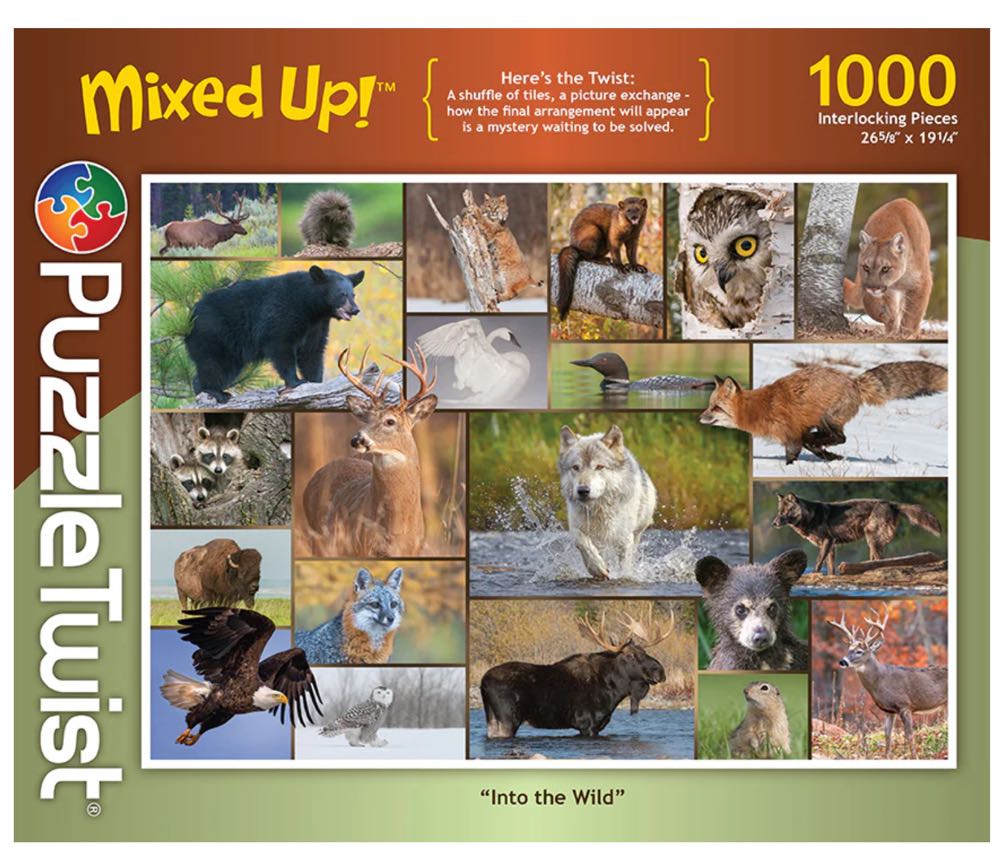 Cats - Puzzle Playtime