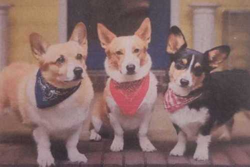 Green Box Puzzles   puzzle collectible - Main Image 2