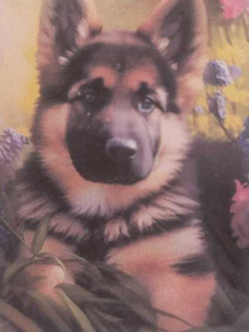 Green Box Puzzles   puzzle collectible - Main Image 3