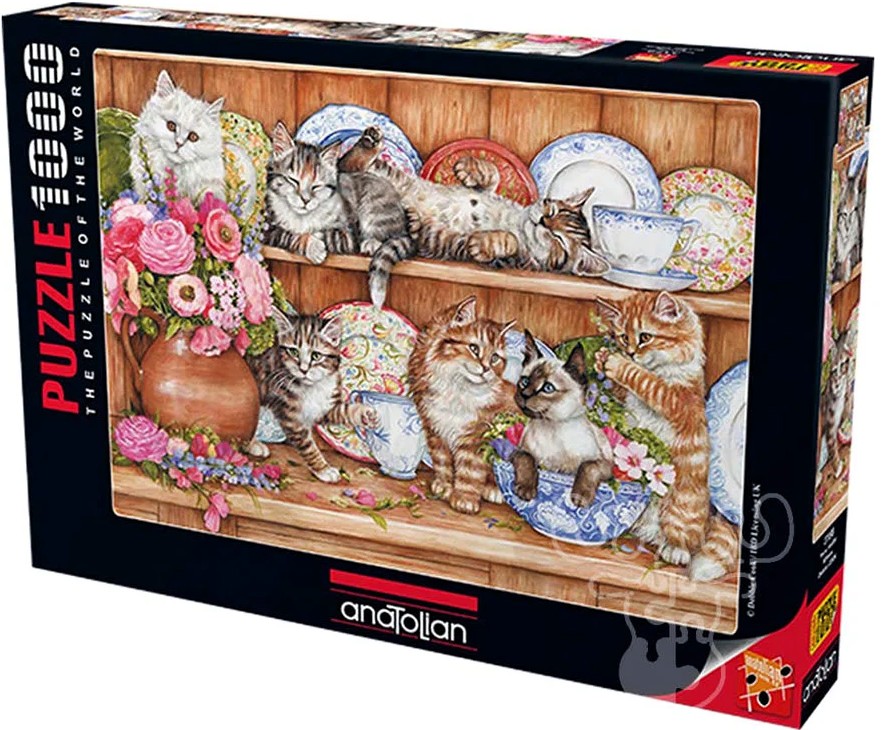 Aimee Stewart: Limited Edition- General Store