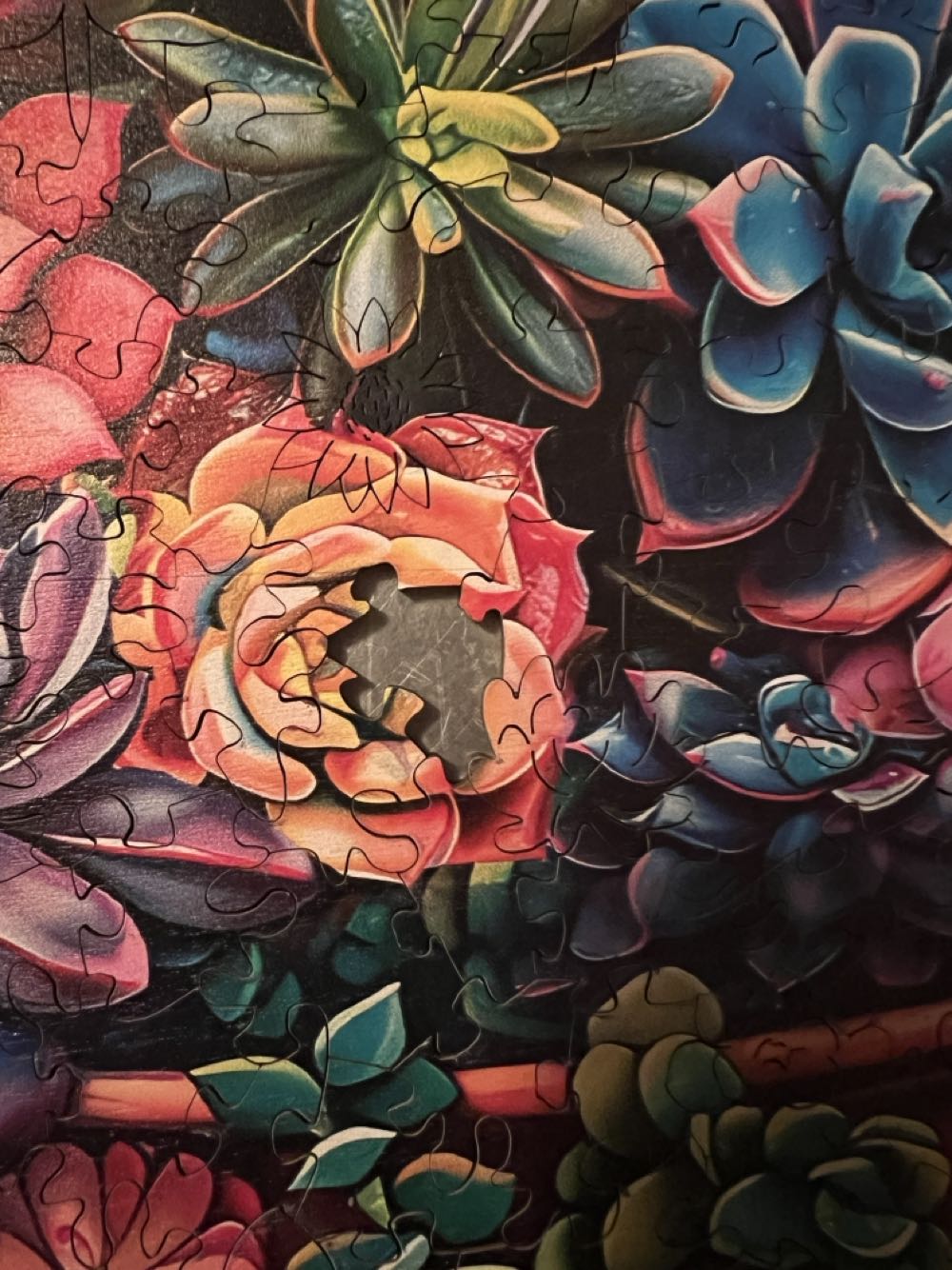 Succulent In Pot - Woodbests puzzle collectible - Main Image 6