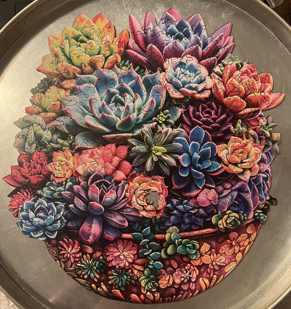 Succulent In Pot - Woodbests puzzle collectible - Main Image 7
