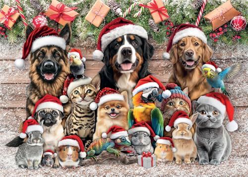 Browsing Book Dragons Keepsake 250 Piece