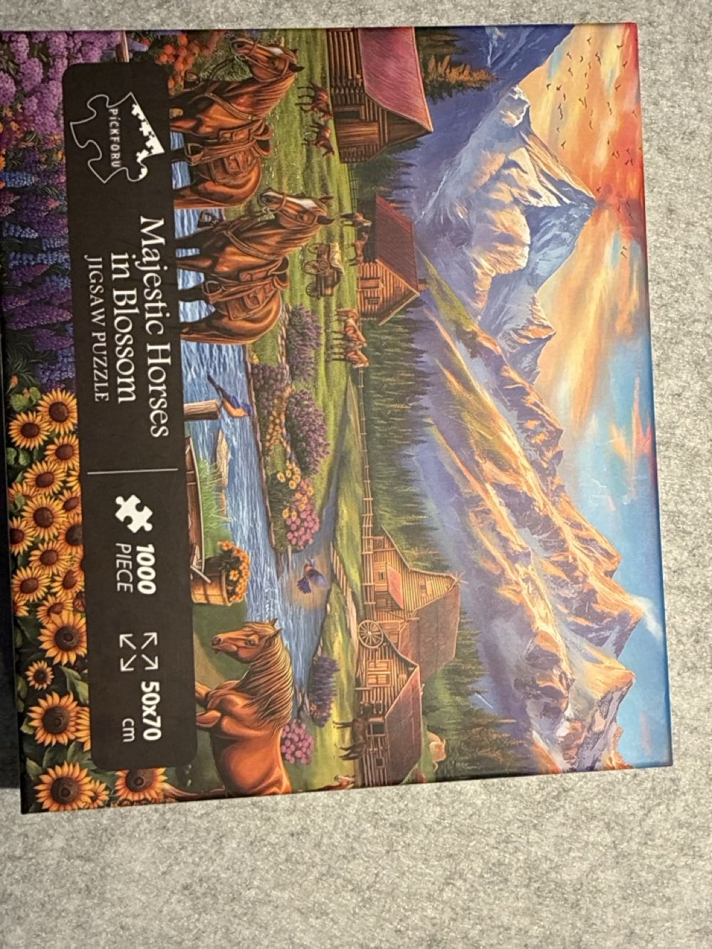 Which Way To The Campsite