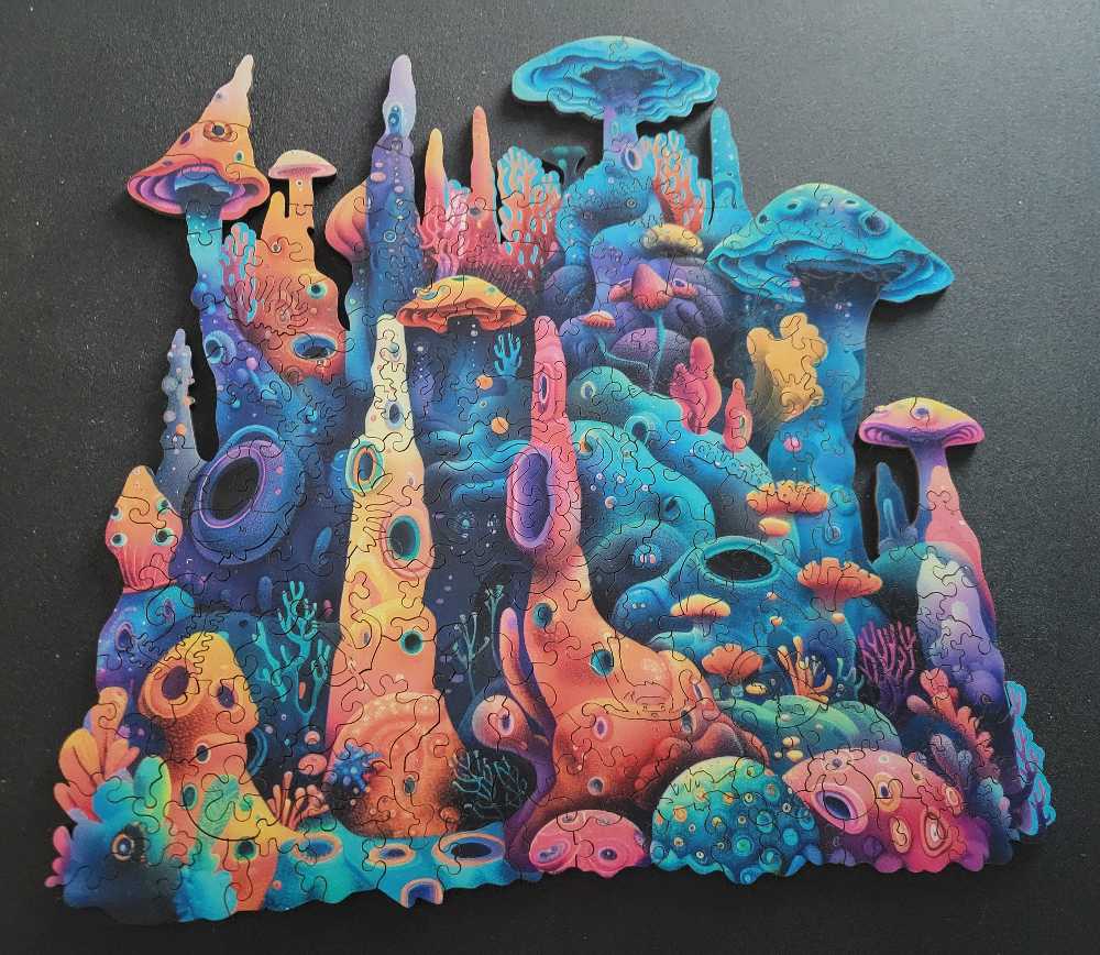 Wooden-Coral Reef - Qiuenisray puzzle collectible - Main Image 2