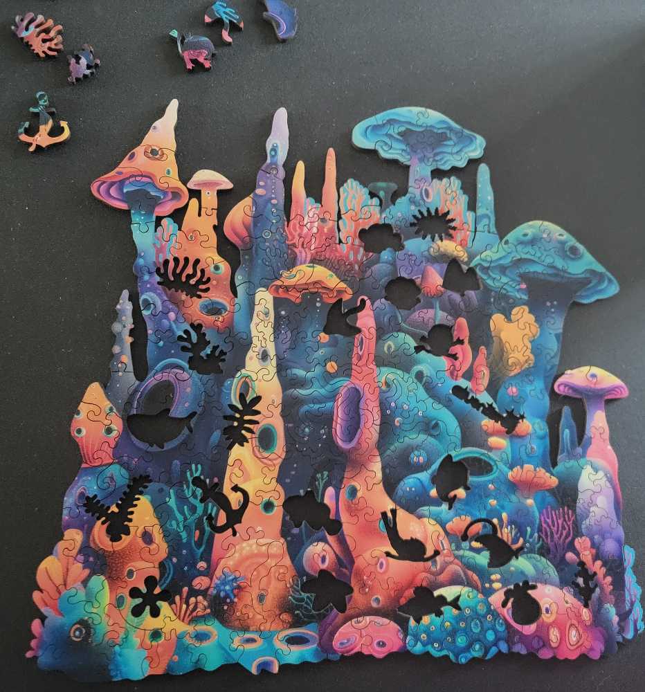 Wooden-Coral Reef - Qiuenisray puzzle collectible - Main Image 3