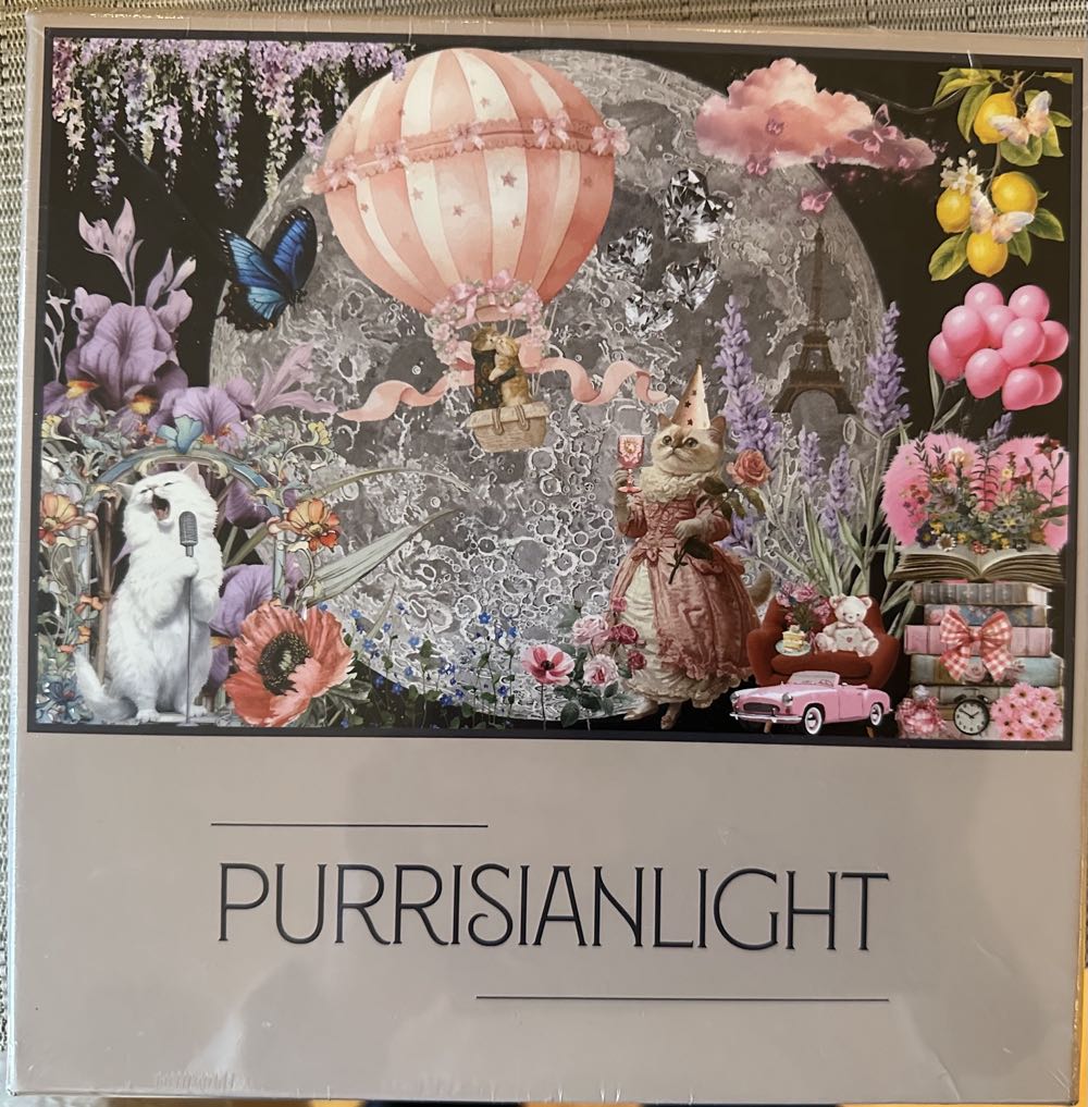 Time Travel: Future Time (Saskia Betaald 16-12-2025)