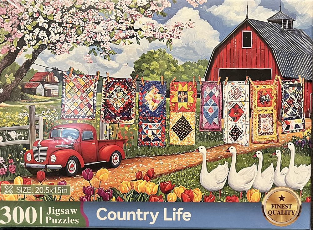 Princeton Architectural Press Woodcut: Three Puzzles