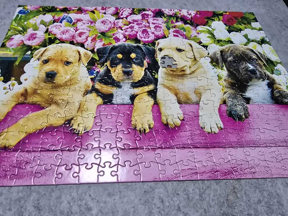 SOLD-American Staffordshire Terrier - Rose Art Brand puzzle collectible [Barcode 4895145436403] - Main Image 2