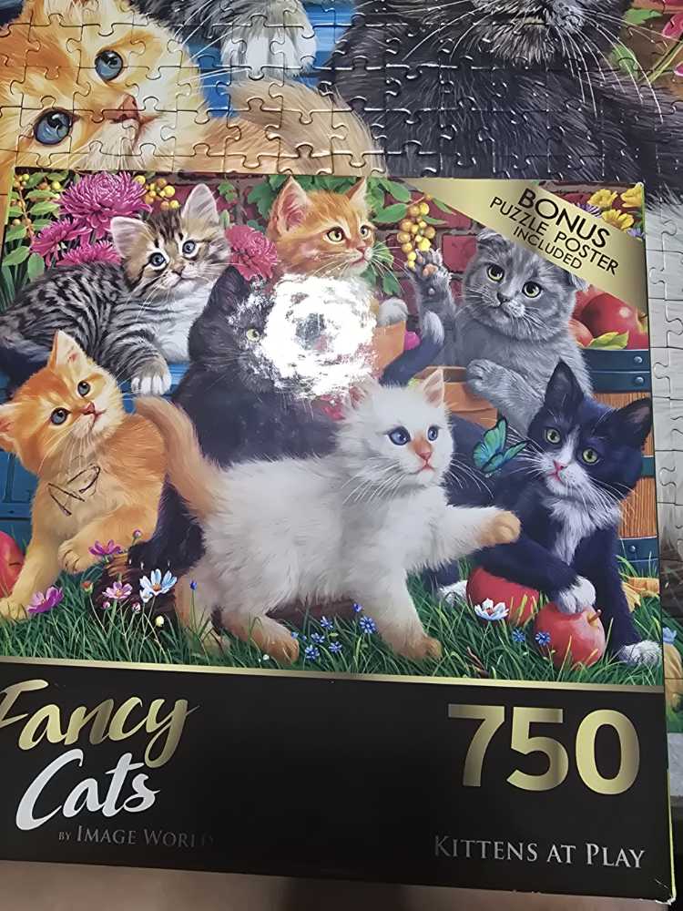 Fancy Cats $6  puzzle collectible [Barcode 895125427623] - Main Image 2