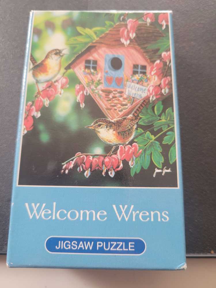 Camping Comics Puzzel 500 Stukjes