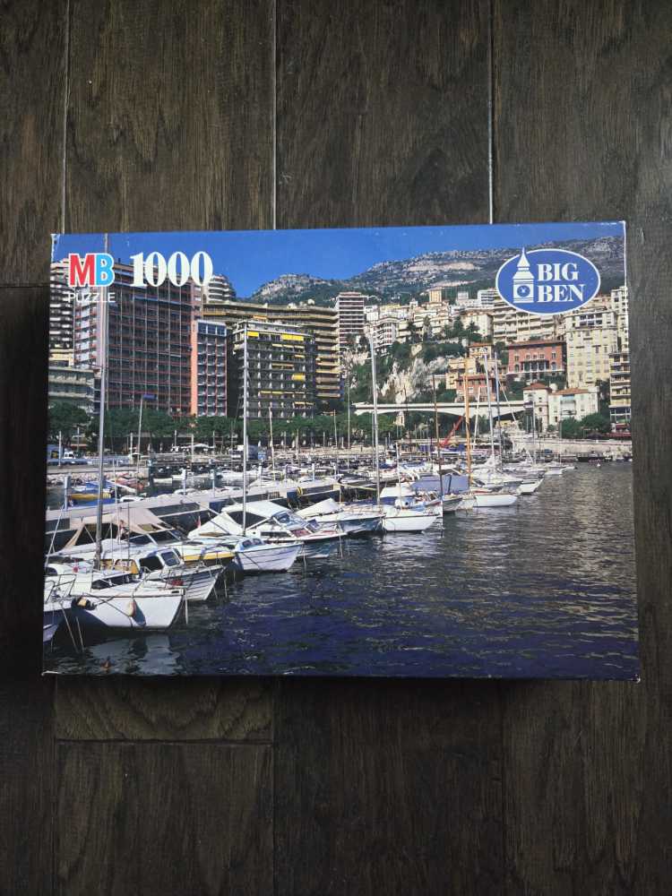 Swinging By The Ocean