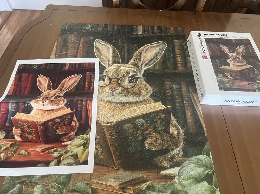 Olleo Magical Holidays