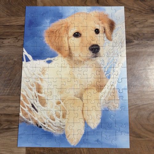 The Ultimate 2 Player Game