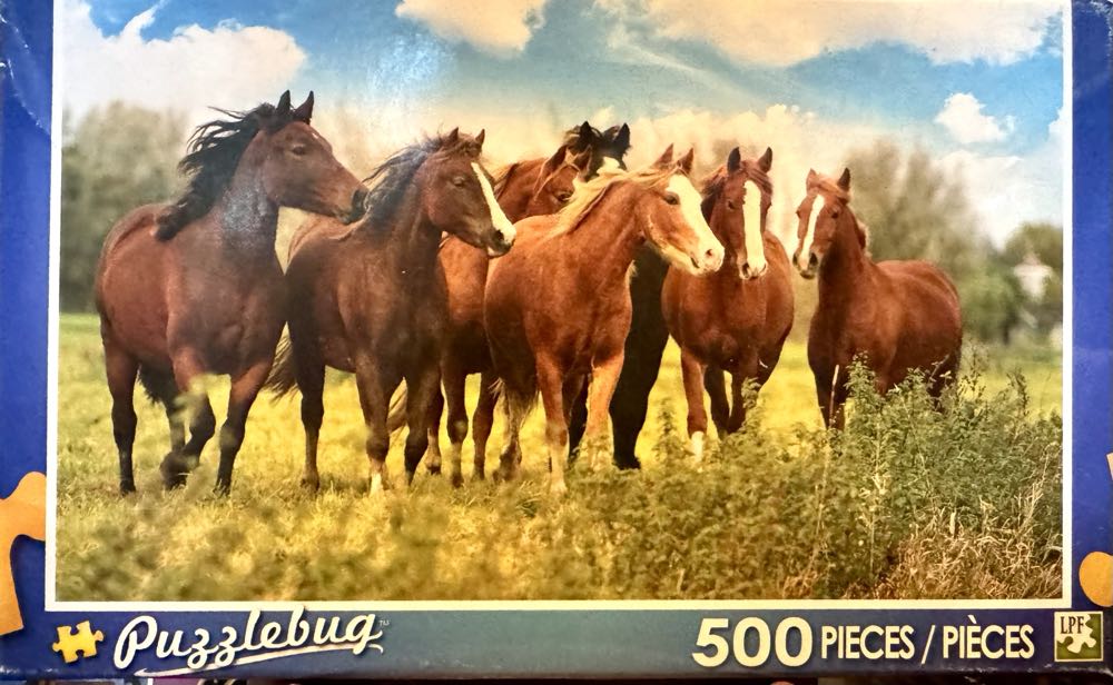 Youthefan Nfl Kansas City Chiefs Barnyard Fans 500pc Puzzle