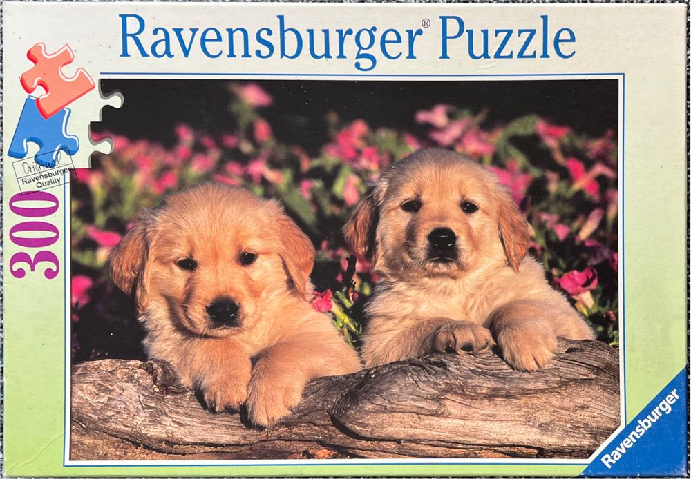 Tom And Jerry Christmas Memories