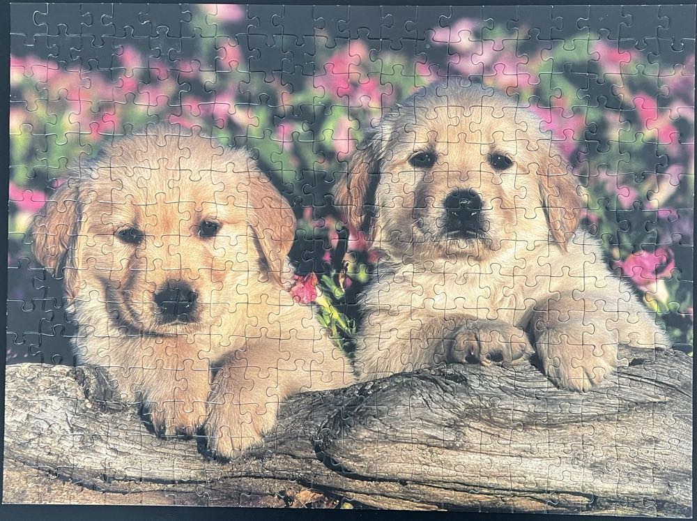 Puppies -995, 1/16/26 - Ravensburger puzzle collectible [Barcode 4005556130559] - Main Image 2