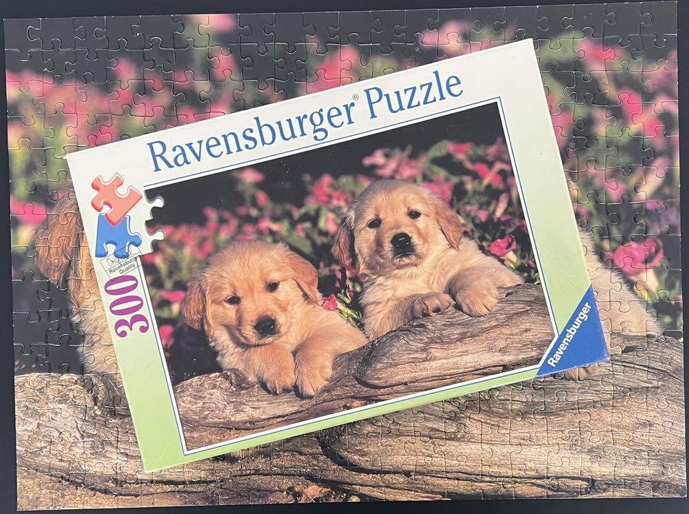 Puppies -995, 1/16/26 - Ravensburger puzzle collectible [Barcode 4005556130559] - Main Image 4