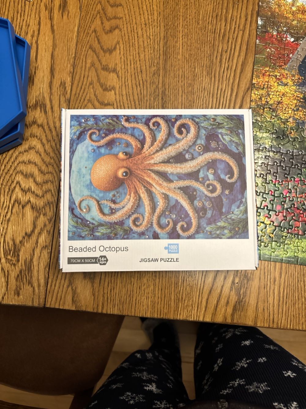 Cowgirl Christmas Boots