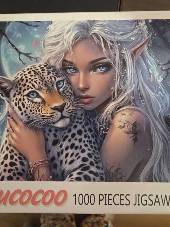 Cubby Cats And Succulents