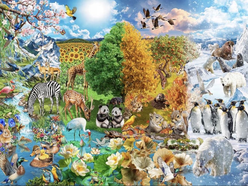 Morning In The Garden