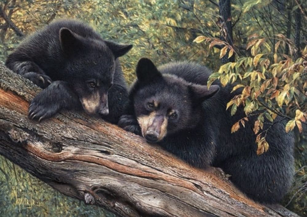 Das Haus am Meer / A new day dawning