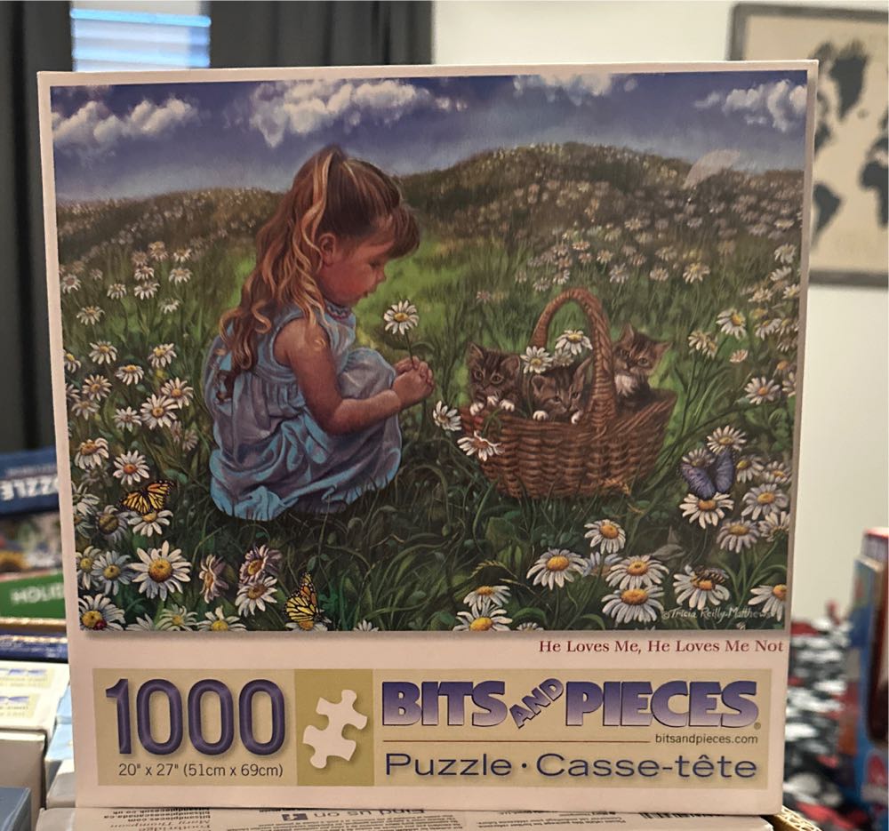 B Ice Cream Temptations