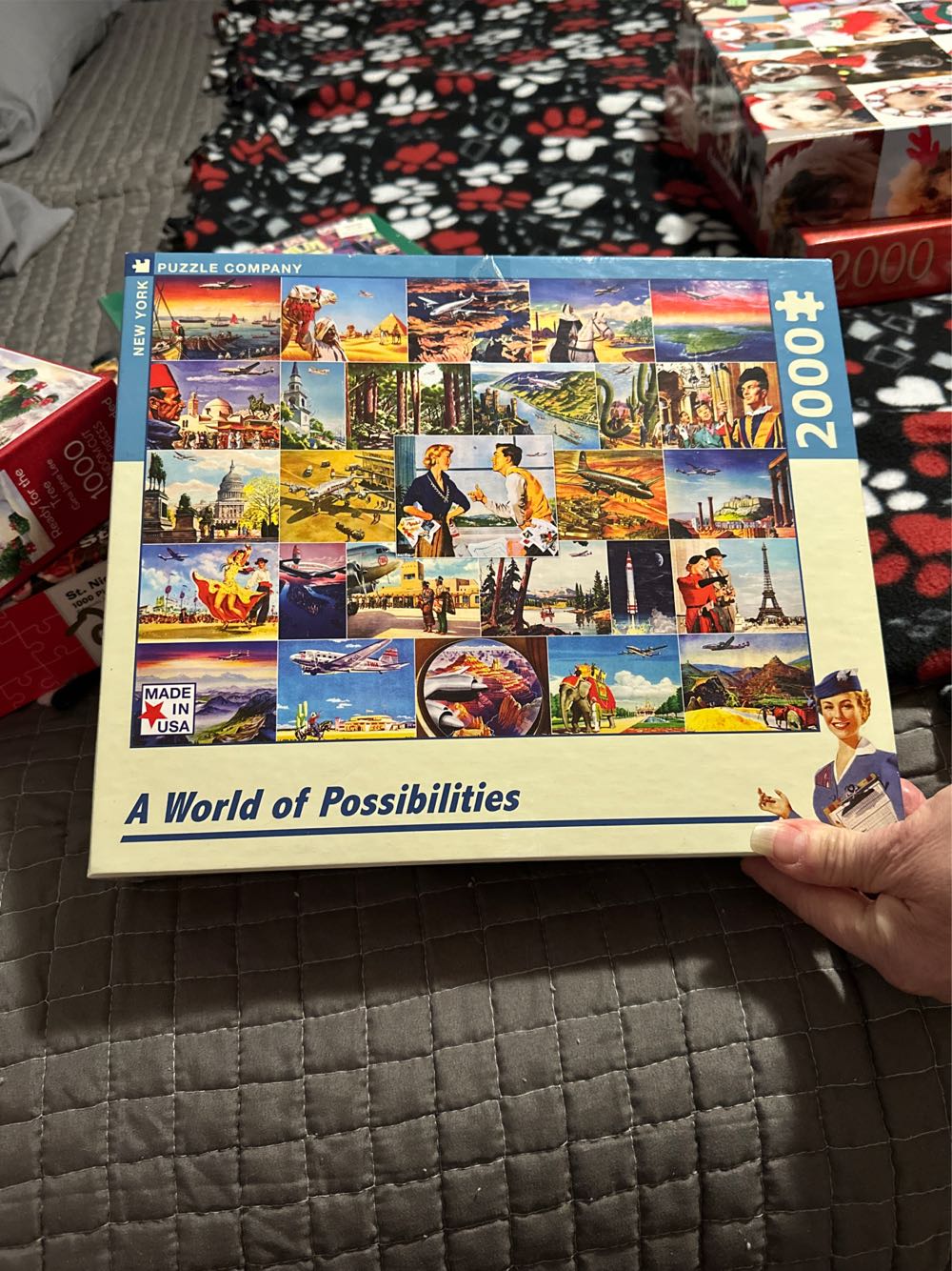 D-300-132: Forest Sunset