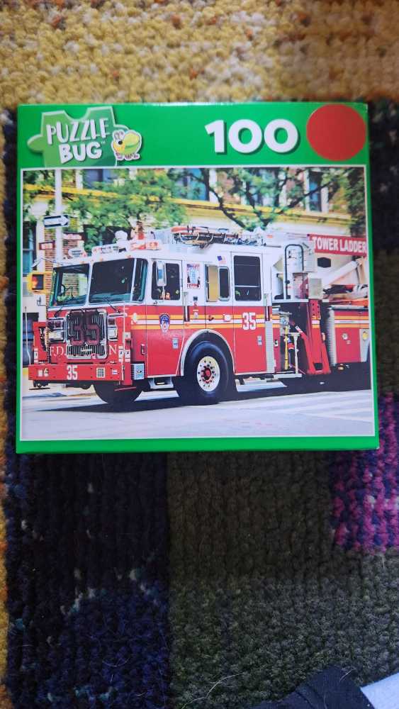 Fluffy Kittens In The Living Room