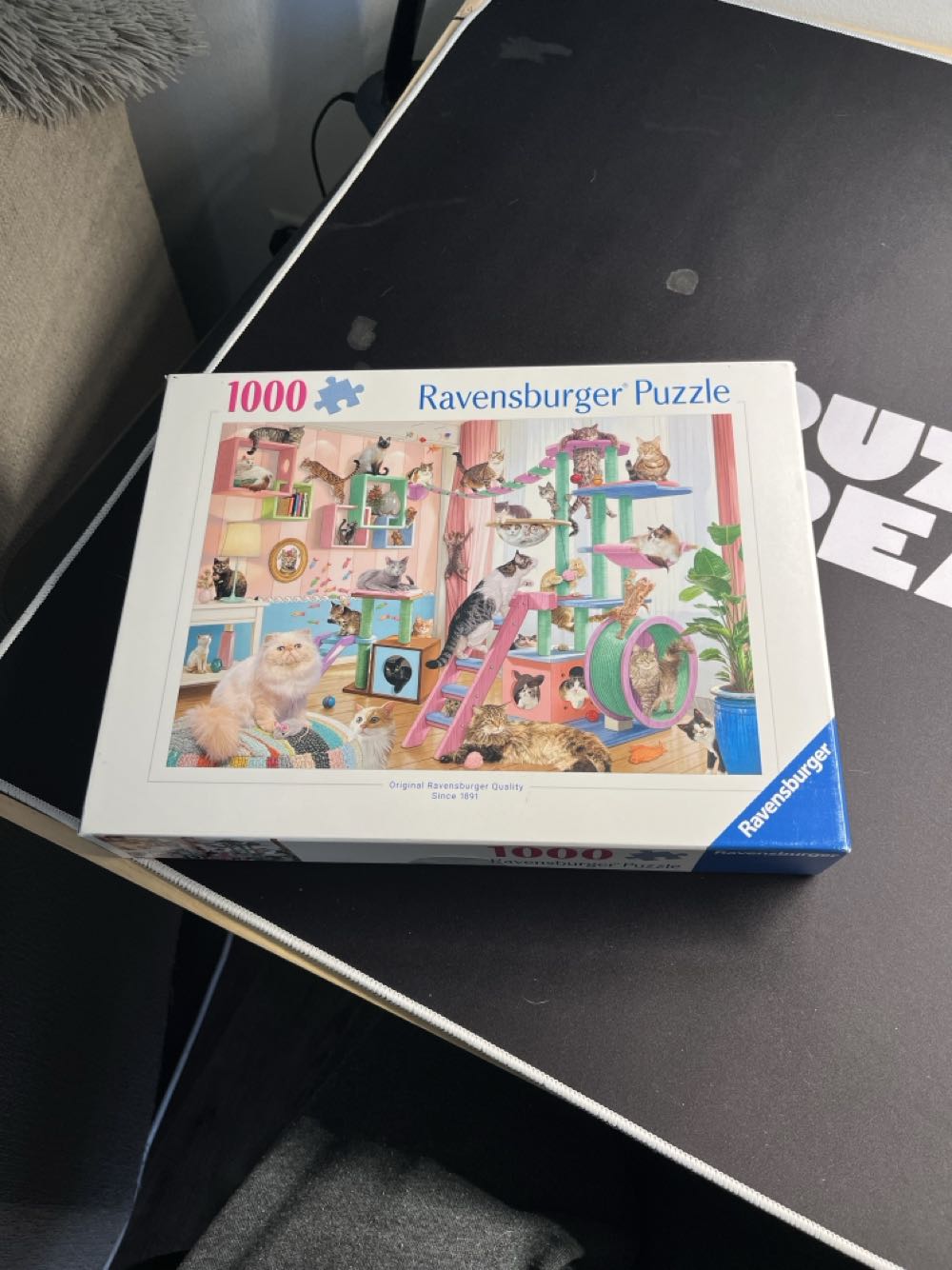 Sunset : Surfer Girl