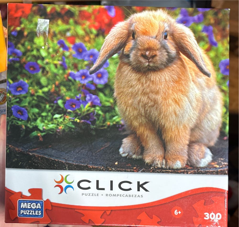 Farm Animal Festival