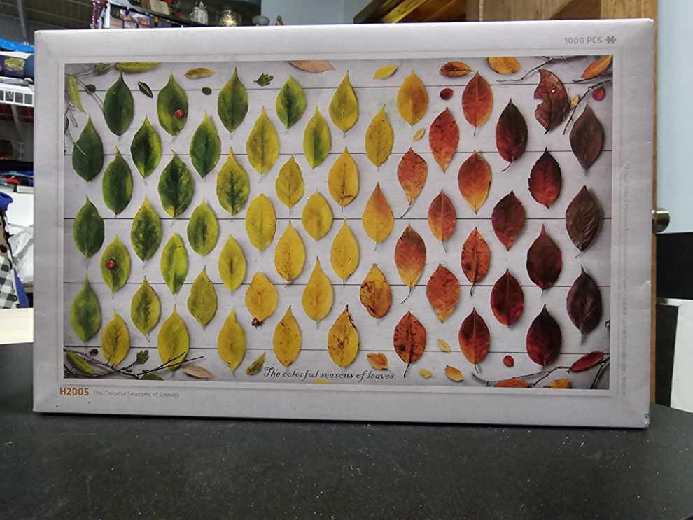 Youthefan Nfl New Orleans Saints Game Day At The