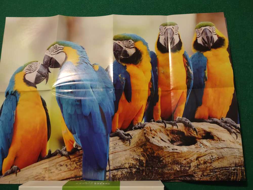 TDL-1000-036: 15th Anniversary ”Anniversary of Dreams and Magic”**