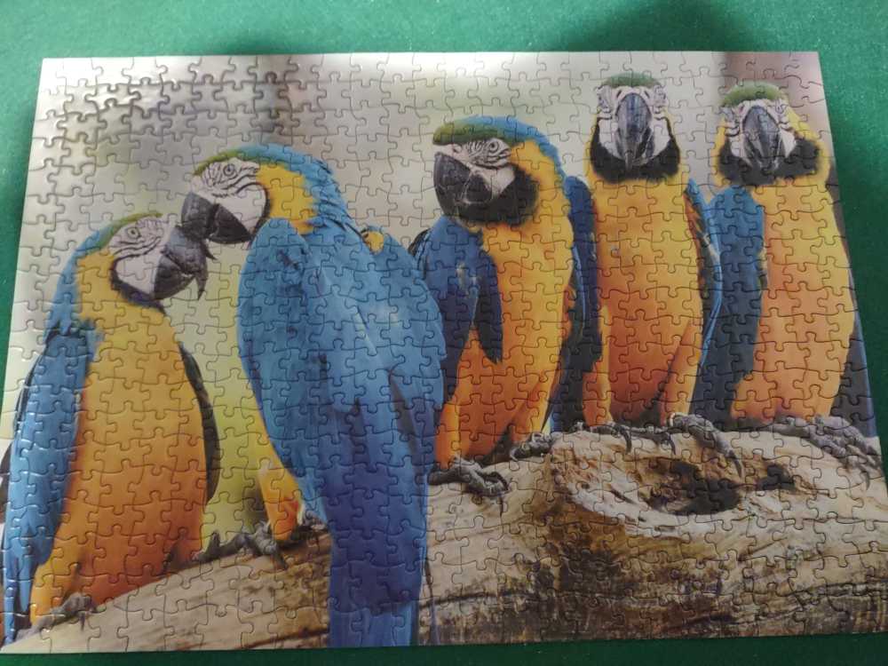 Five Parrots  puzzle collectible - Main Image 2
