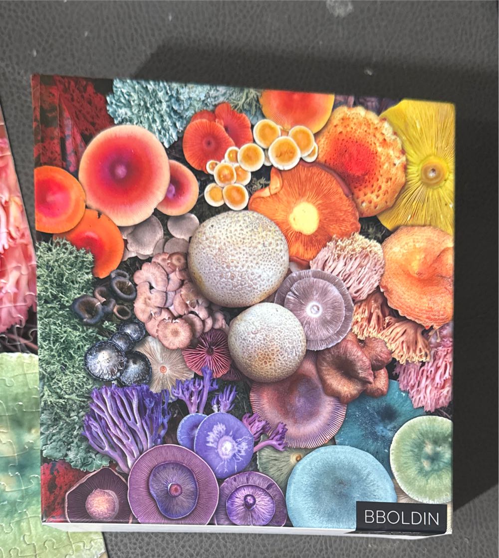 Batman 2023 Walmart Set